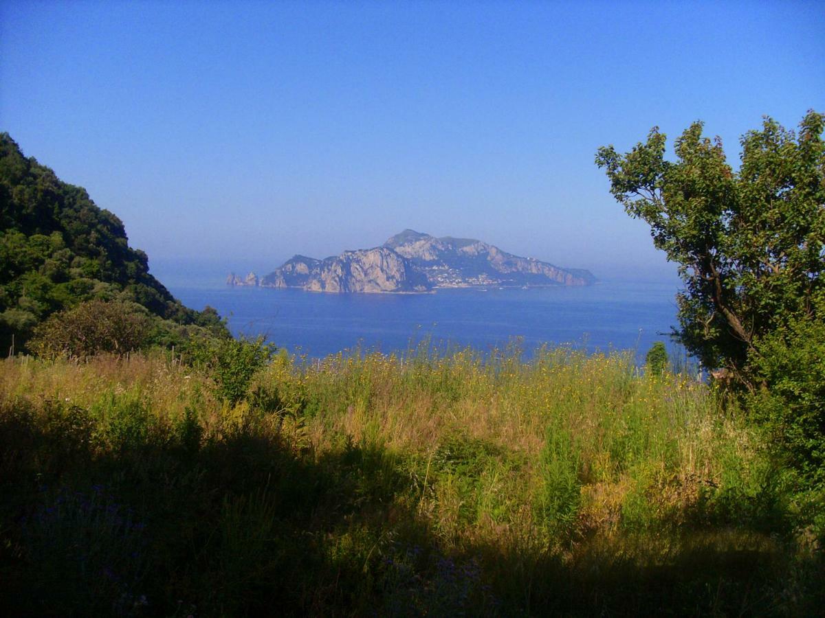 Il Paradiso Degli Dei 아제롤라 외부 사진